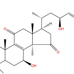 e83cb5d26af93a1a26740604f7e3ef7f - BIORLAB