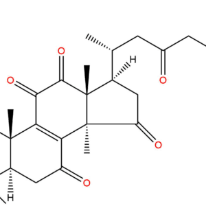 e970ee4b57e55f62877c5d74f0c139c8 - BIORLAB