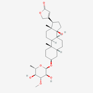 Neriifolin 1 - BIORLAB