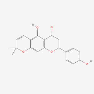 imagefly 101 - BIORLAB