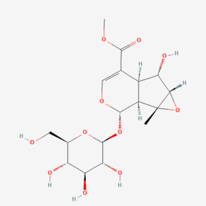 imagefly 102 - BIORLAB