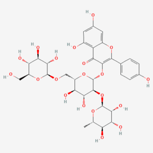 imagefly 104 - BIORLAB