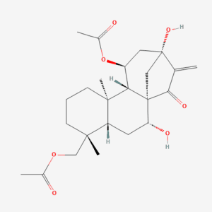 imagefly 113 - BIORLAB