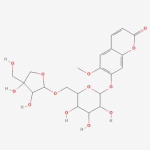 imagefly 131 - BIORLAB