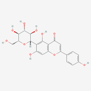 imagefly 134 - BIORLAB