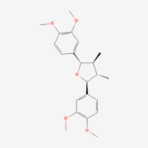 imagefly 135 - BIORLAB