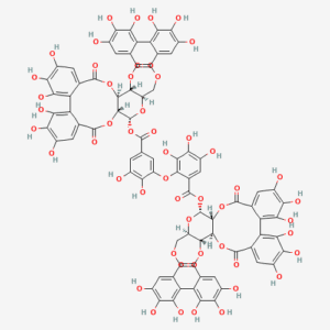 imagefly 138 - BIORLAB