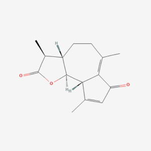 imagefly 165 - BIORLAB