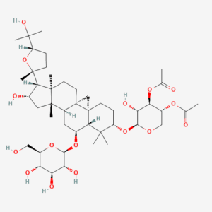 imagefly 166 - BIORLAB