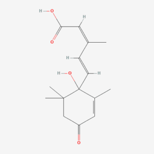 imagefly 174 - BIORLAB