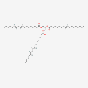 imagefly 184 - BIORLAB