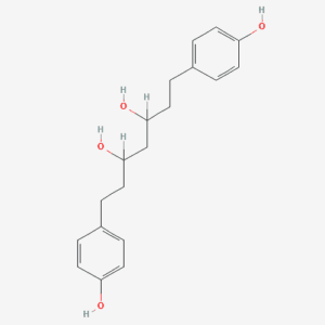 imagefly 189 - BIORLAB