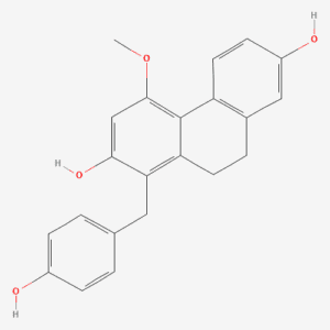 imagefly 191 - BIORLAB