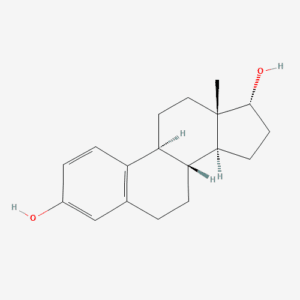 imagefly 223 - BIORLAB