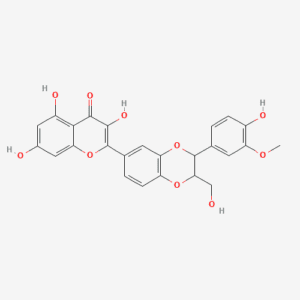 imagefly 237 - BIORLAB