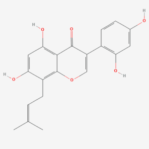 imagefly 238 - BIORLAB