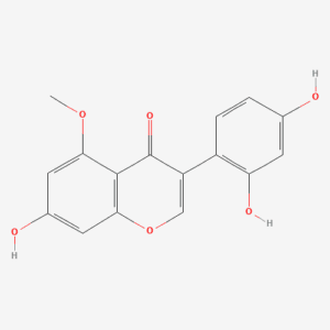 imagefly 253 - BIORLAB
