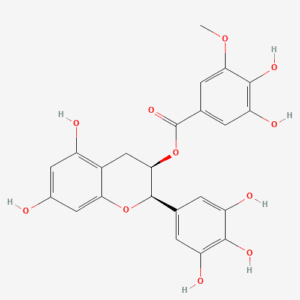 imagefly 267 - BIORLAB