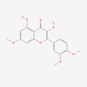 imagefly 268 - BIORLAB