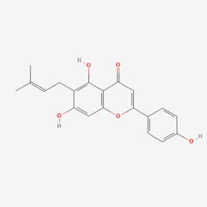 imagefly 27 - BIORLAB