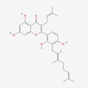 imagefly 273 - BIORLAB