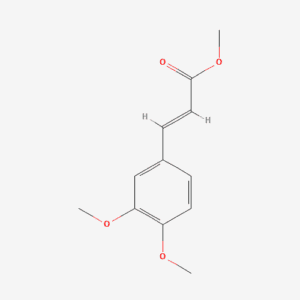 imagefly 280 - BIORLAB