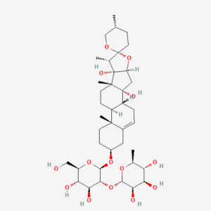 imagefly 294 - BIORLAB