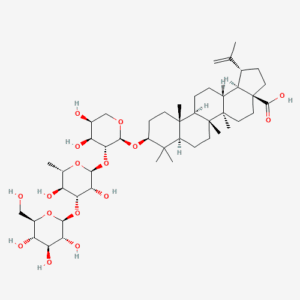 imagefly 295 - BIORLAB