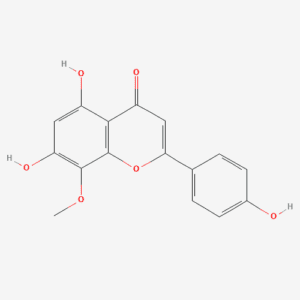 imagefly 312 - BIORLAB