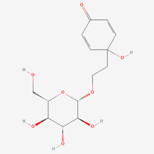imagefly 323 - BIORLAB