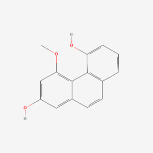 imagefly 332 - BIORLAB
