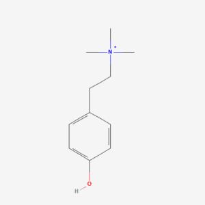 imagefly 333 - BIORLAB
