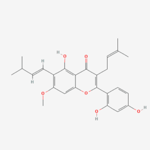 imagefly 34 - BIORLAB