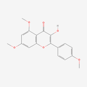 imagefly 344 - BIORLAB