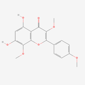 imagefly 345 - BIORLAB
