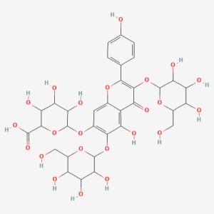 imagefly 378 - BIORLAB