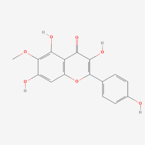 imagefly 379 - BIORLAB