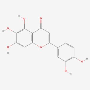 imagefly 385 - BIORLAB