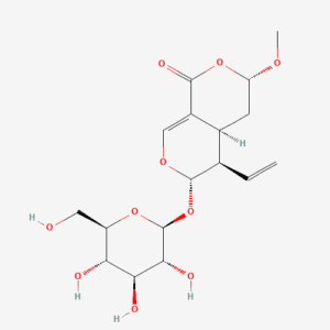 imagefly 397 - BIORLAB