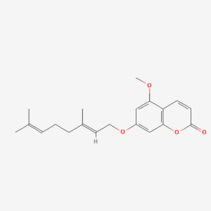 imagefly 398 - BIORLAB