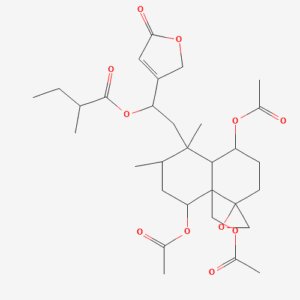 imagefly 422 - BIORLAB