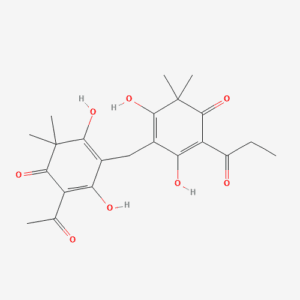 imagefly 423 - BIORLAB