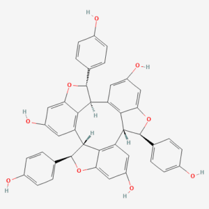 imagefly 424 - BIORLAB