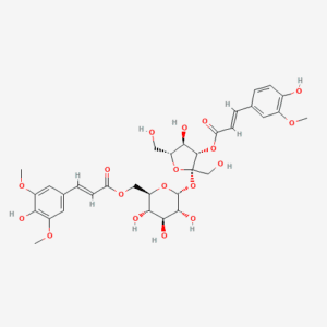 imagefly 434 - BIORLAB