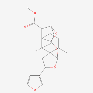 imagefly 44 - BIORLAB