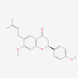 imagefly 446 - BIORLAB