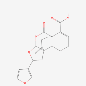 imagefly 45 - BIORLAB