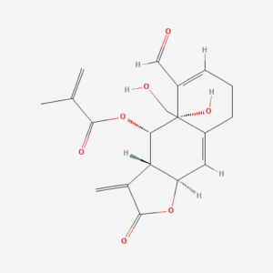 imagefly 49 - BIORLAB