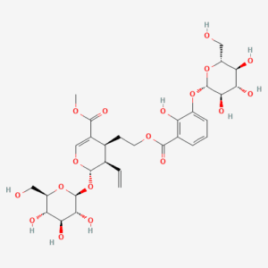 imagefly 52 - BIORLAB