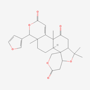 imagefly 54 - BIORLAB
